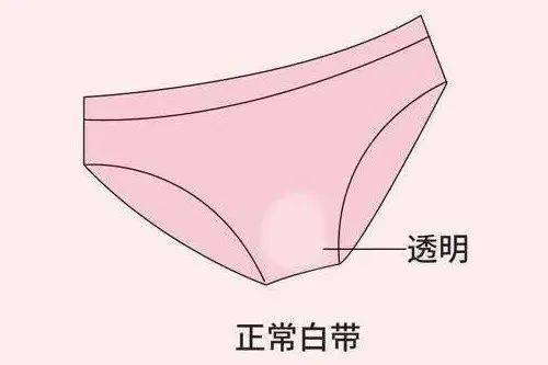 白带少该怎么办